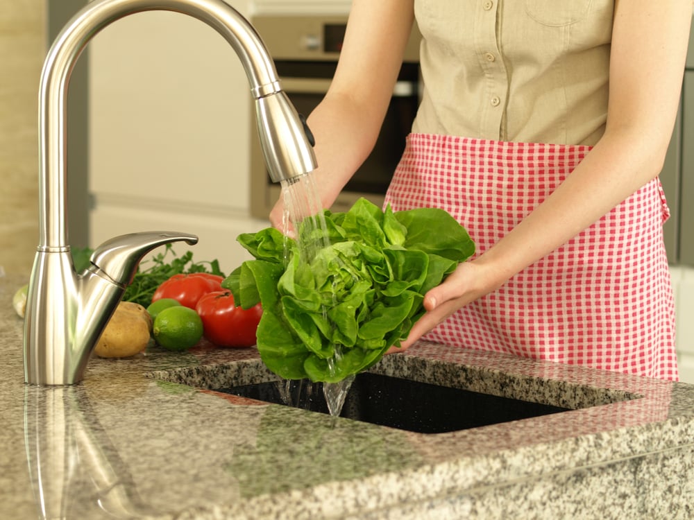 Washing lettuce under water- preparing for eating